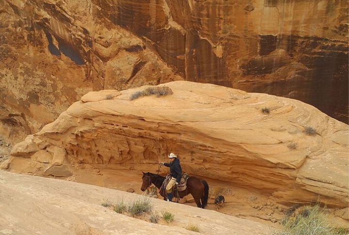 Robber’s Roost, Utah
