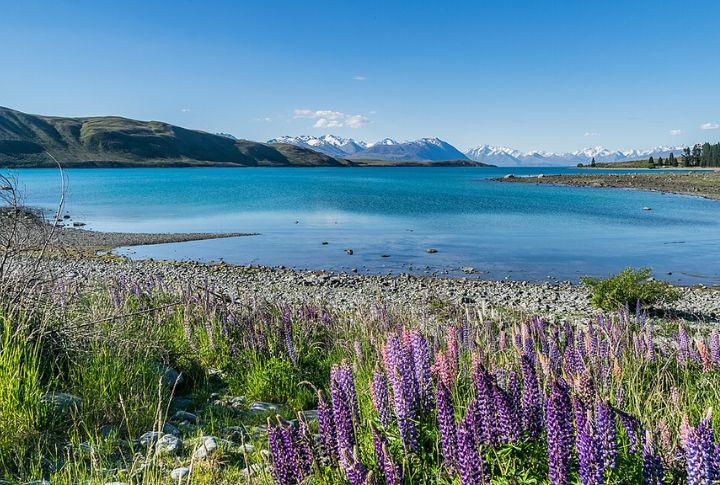 Lake Tekapo, New Zealand