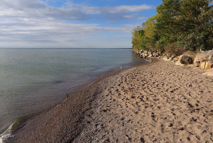 Margaret Atwood Book Retreat, Pelee Island, Canada