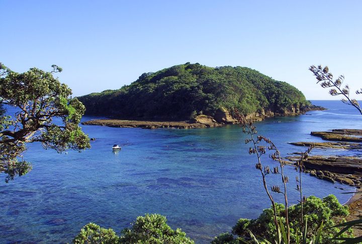 Night Snorkeling, Goat Island, New Zealand