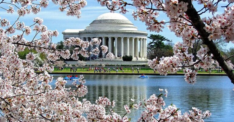 15 Stunning Places Around The World To See Spring Blossoms In Full Glory