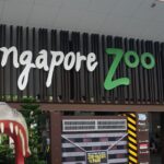 Top 15 Zoos That Are Redefining Wildlife Conservation And Design
