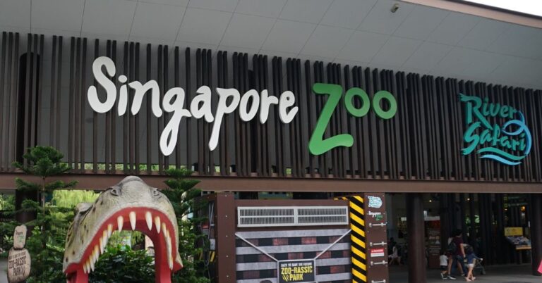 Top 15 Zoos That Are Redefining Wildlife Conservation And Design