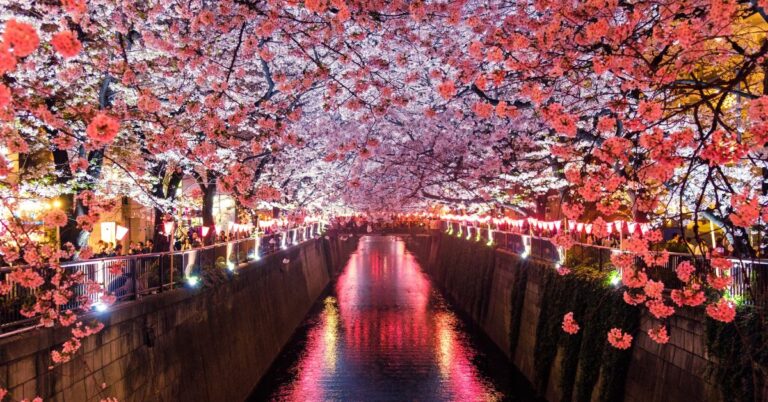 25 Reasons Japan Is The Most Satisfying Country To Visit