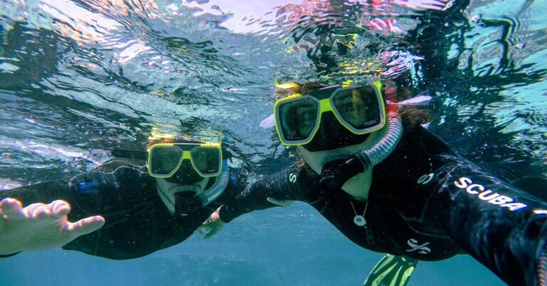 15 Places Where Cancun Hides Its Most Breathtaking Snorkeling Spots
