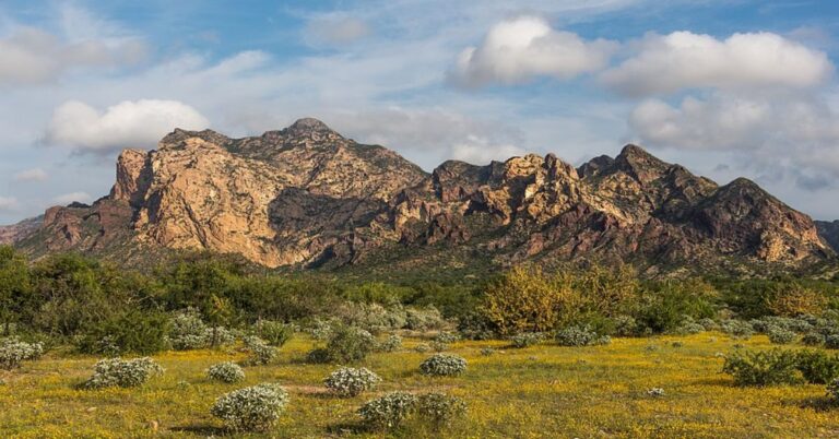 15 Countries With Some Of The World’s Largest Gold Finds