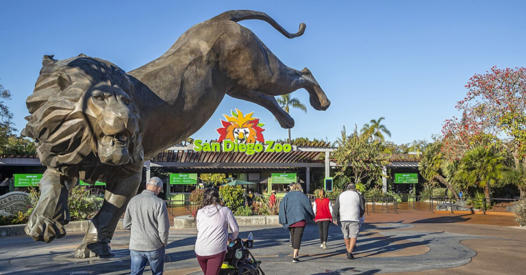 15 Zoos Across America That Are Bigger Than You Think