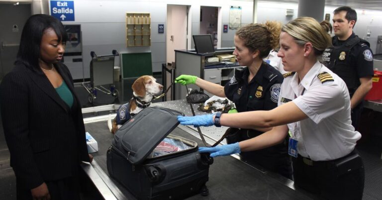 15 Items That Could Get Your Luggage Flagged Instantly