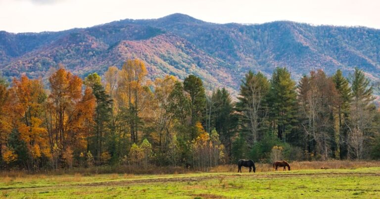 What Makes Gatlinburg One Of The Most Unique Towns In America