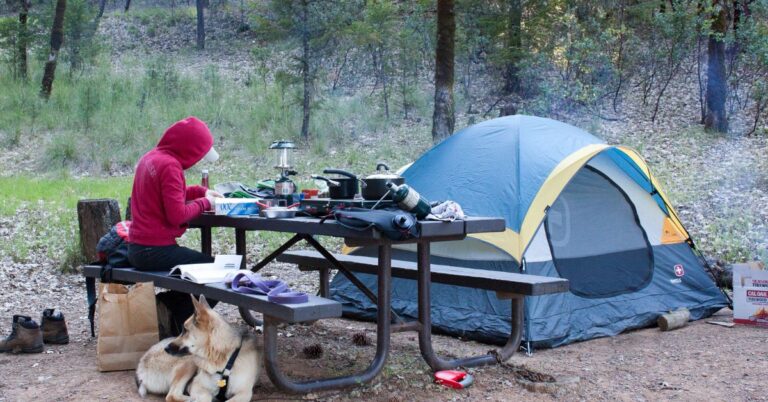 15 Camping Rules Every Outdoor Lover Should Know By Heart