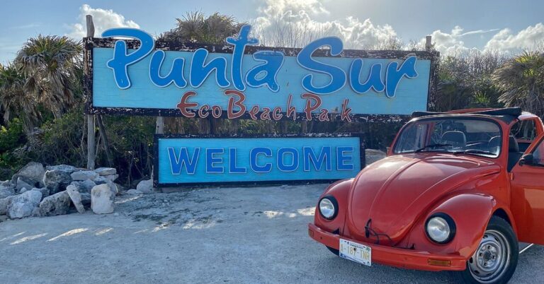 15 Incredible Ways To Experience Cozumel Like Never Before