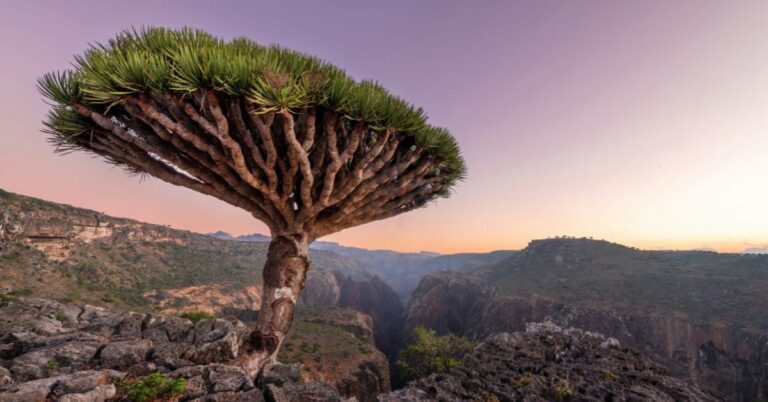 25 Wild Escapes Where Nature Doesn’t Play Nice