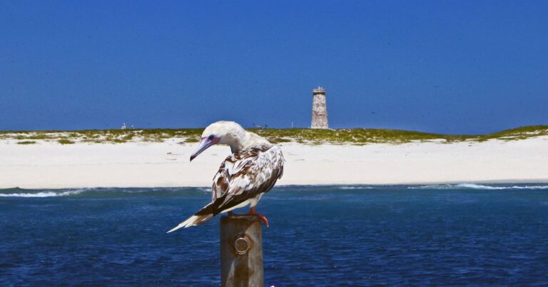 15 Of America’s Hidden Islands That Feel Straight Out Of A Dream